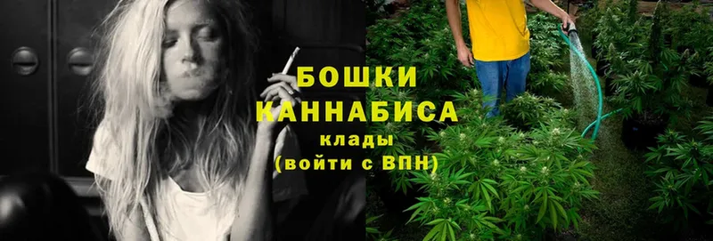 мега ссылки  Дмитров  Канабис SATIVA & INDICA 